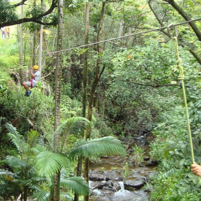 a.zip.lining.lauren.3rd.one