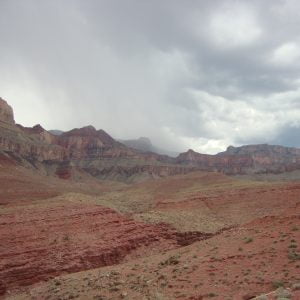 raft.day.3.o.lunch.14.walking.back.rain.1